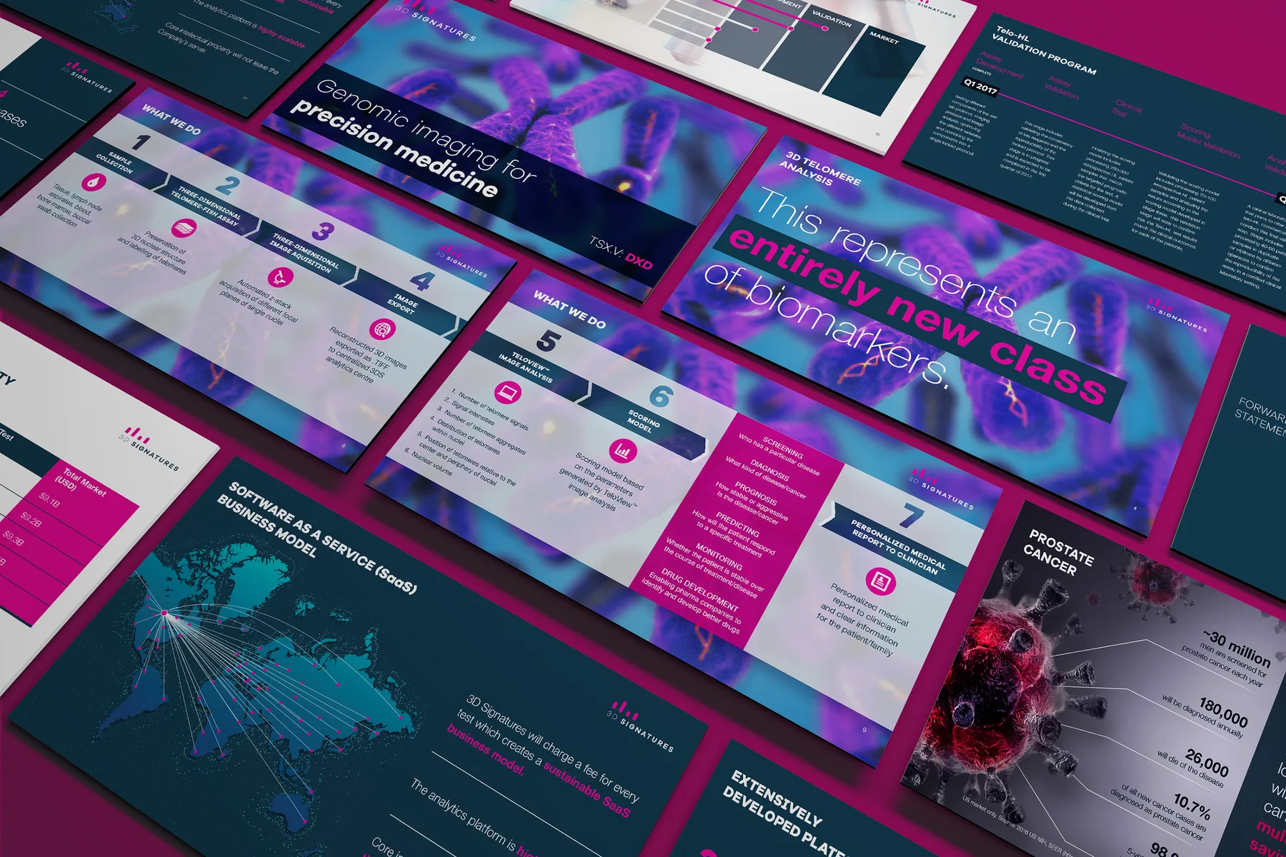 Investor presentation spreads for 3D Signatures