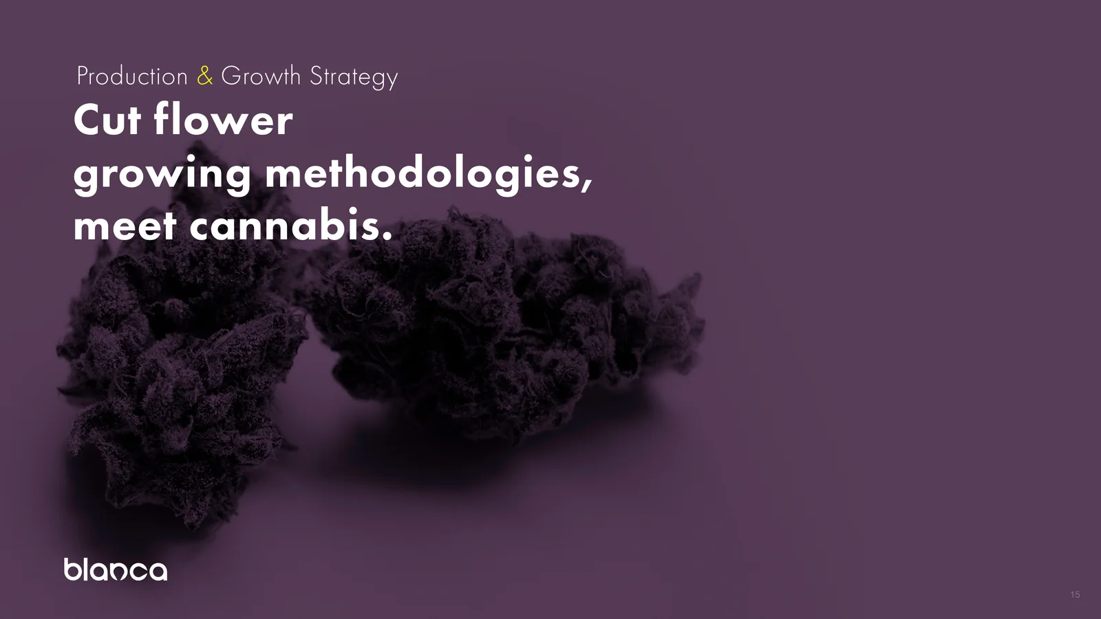Deck slide reading: cut flower growing methodologies, meet cannabis