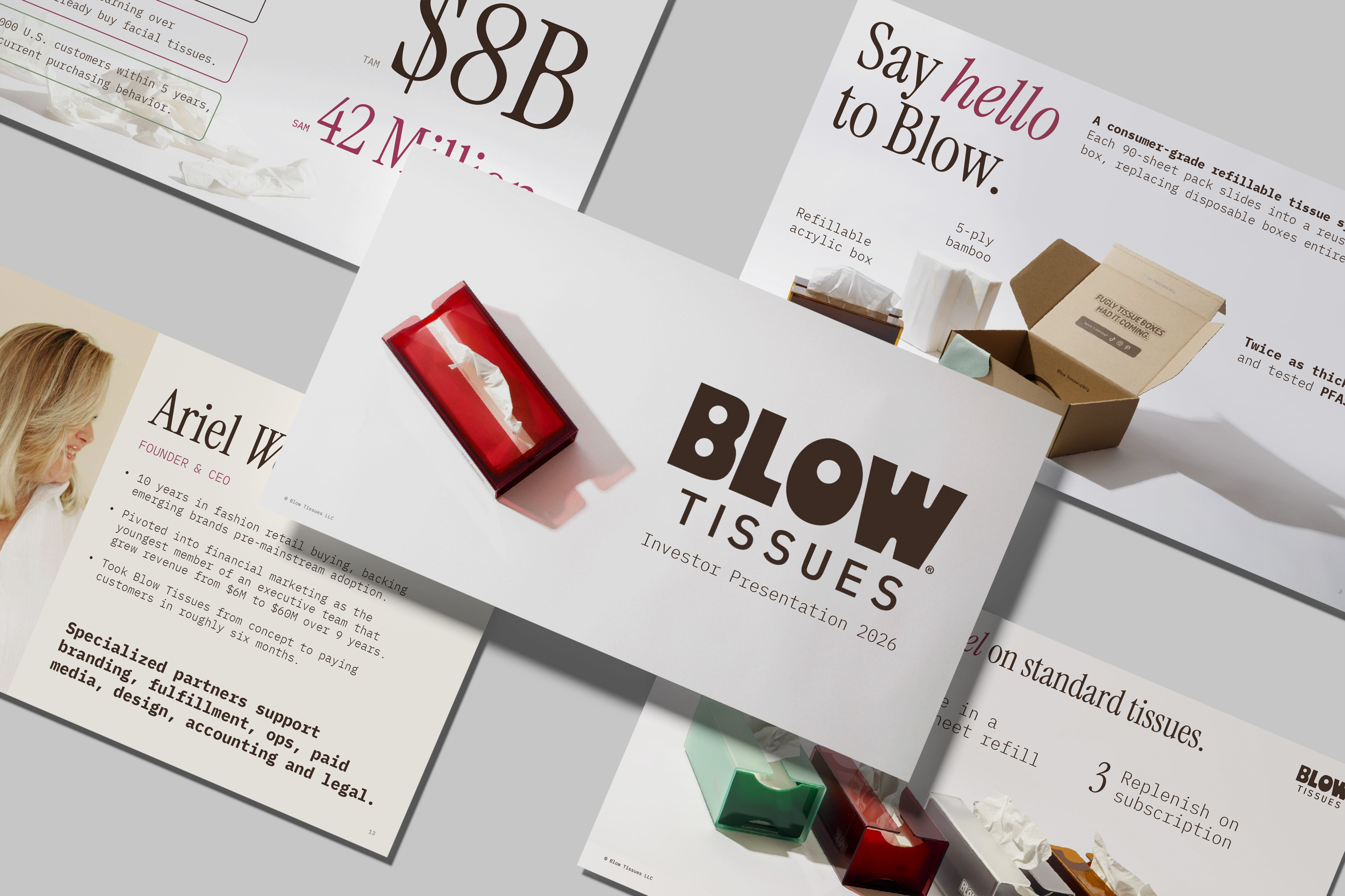 Blow Tissues investor deck, slide spread